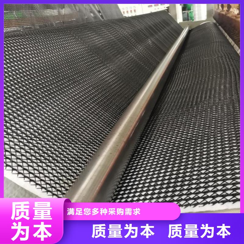 三维复合排水网塑料土工格栅质检合格出厂品牌专营