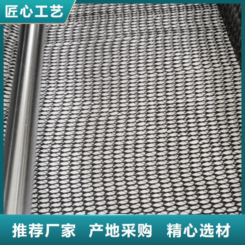 三维复合排水网单向塑料土工格栅品质可靠供您所需