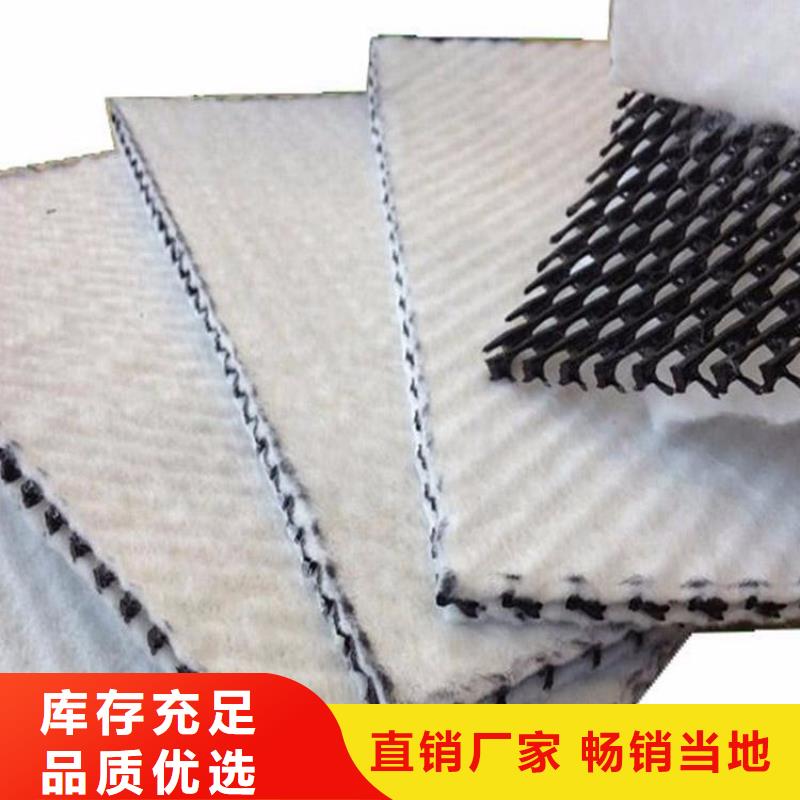 三维复合排水网-【护坡土工网】厂家精选同城公司