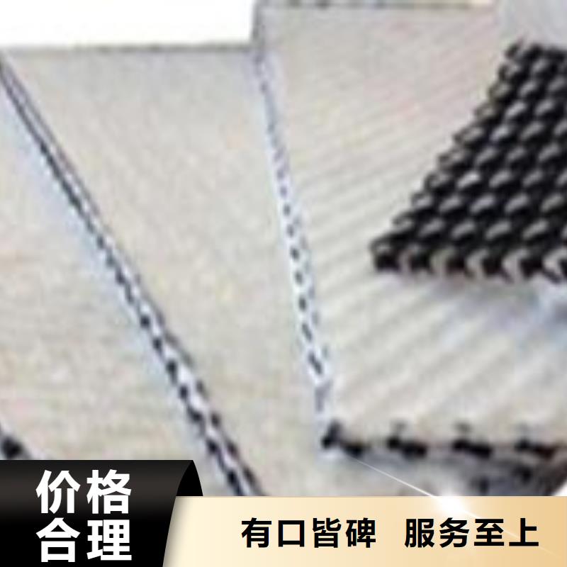 三维复合排水网三维土工网垫快速报价同城生产商