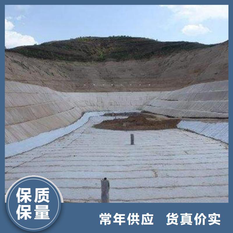 【三维复合排水网】土工HDPE膜现货销售拒绝中间商