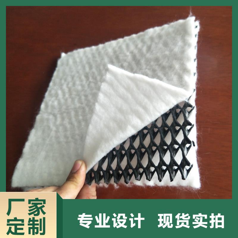 三维复合排水网三维土工网垫质量无忧实力厂家直销