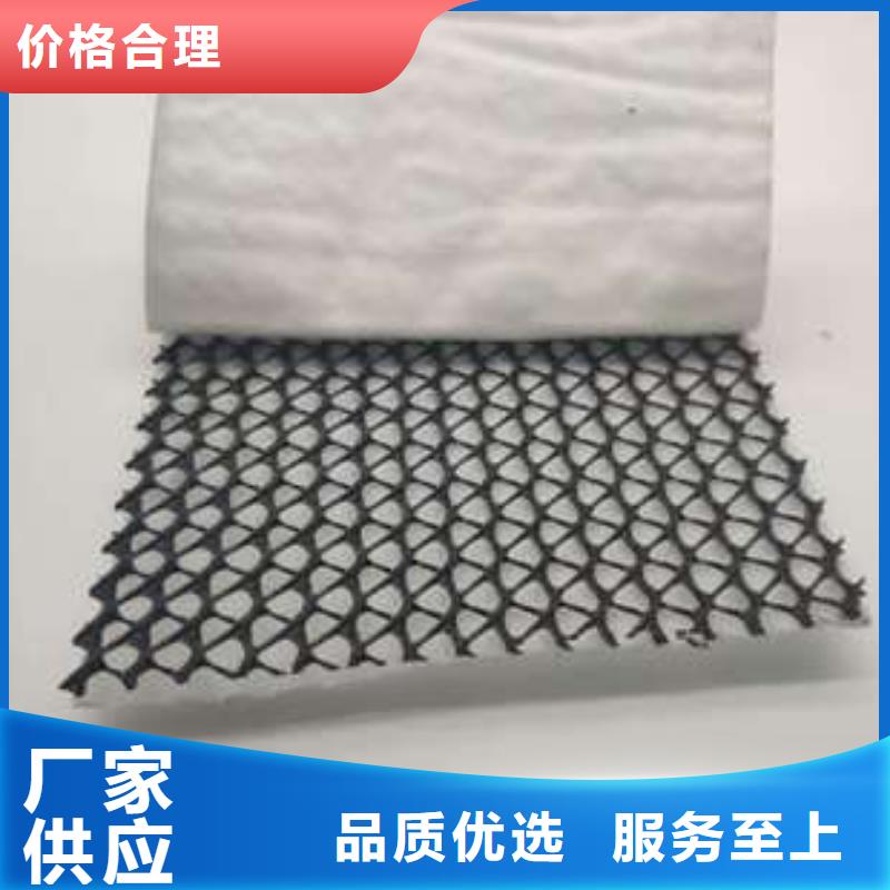 三维复合排水网土工格室一站式供应厂家当地制造商
