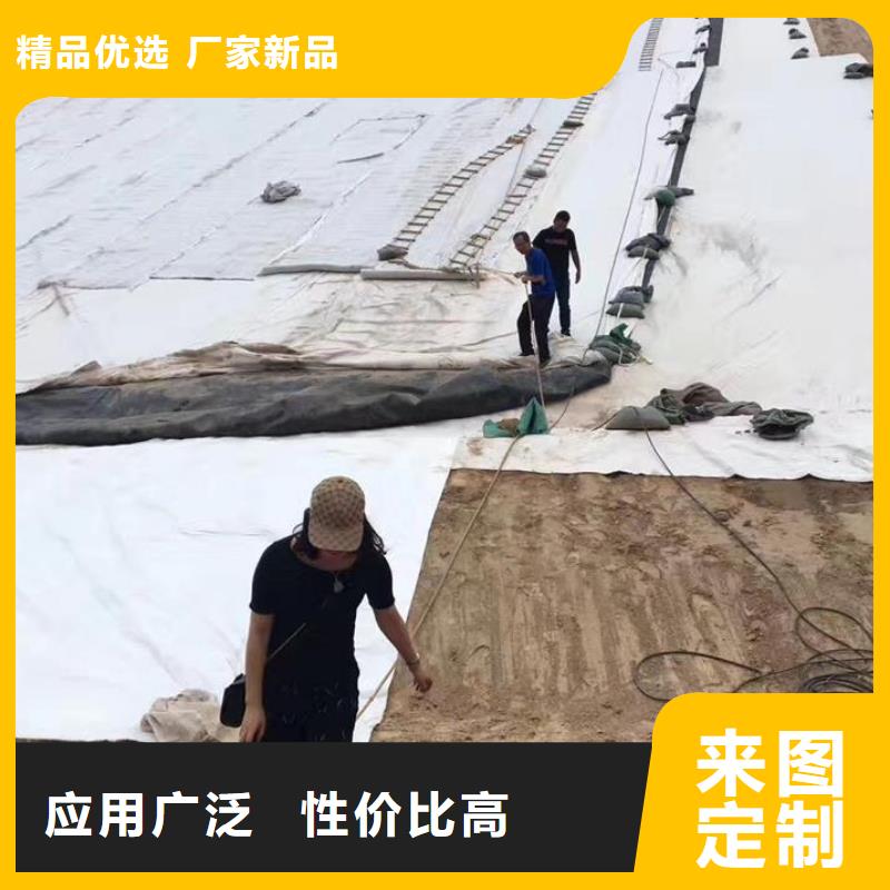 三维复合排水网-复合土工膜专业生产制造厂精心选材