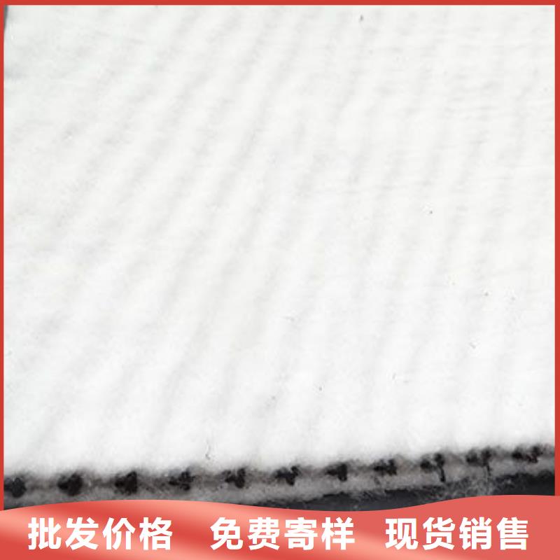 三维复合排水网三维土工网垫放心选购本地公司