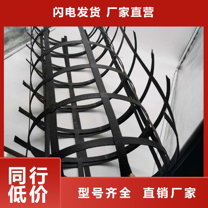 钢塑土工格栅-涤纶土工格栅优选货源精致工艺