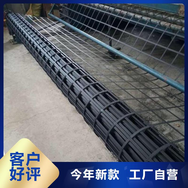 【钢塑土工格栅】土工席垫买的放心符合标准