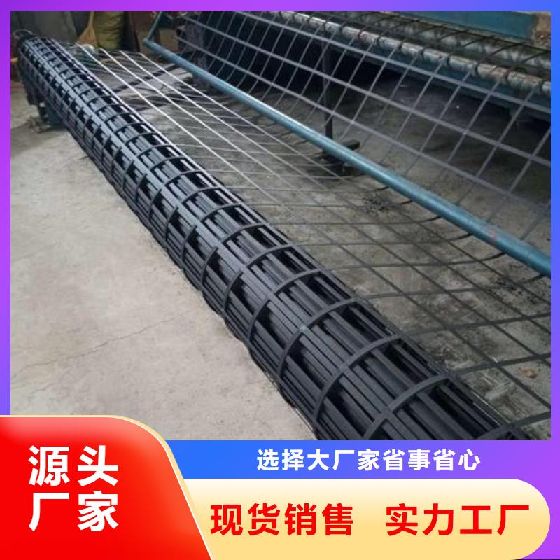 钢塑土工格栅加筋布敢与同行比质量真正的源头厂家