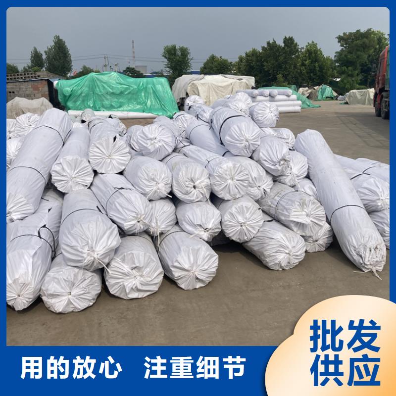 【钢塑土工格栅pp焊接土工格栅免费询价】工厂直营