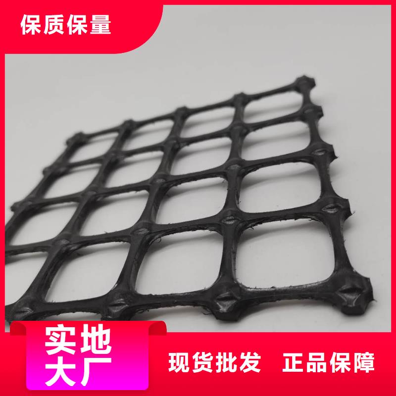 塑料土工格栅涤纶格栅材质实在专业设计