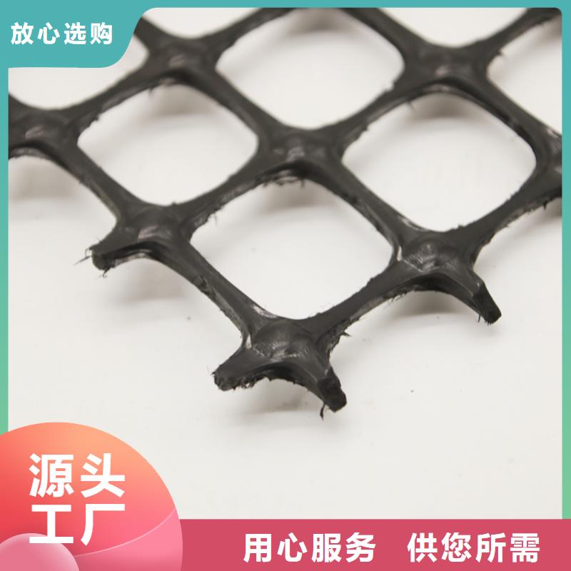 塑料土工格栅HDPE土工膜品质服务本地生产厂家