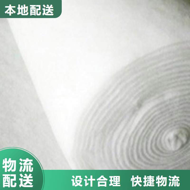 土工布凸结点钢塑土工格栅专心专注专业本地服务商