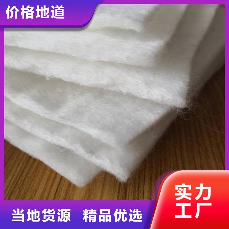 土工布三维植被网工厂直销适用范围广