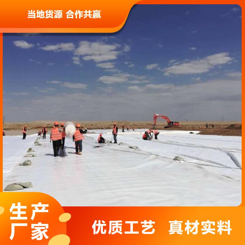 【土工布膨润土防水垫质量优选】本地货源