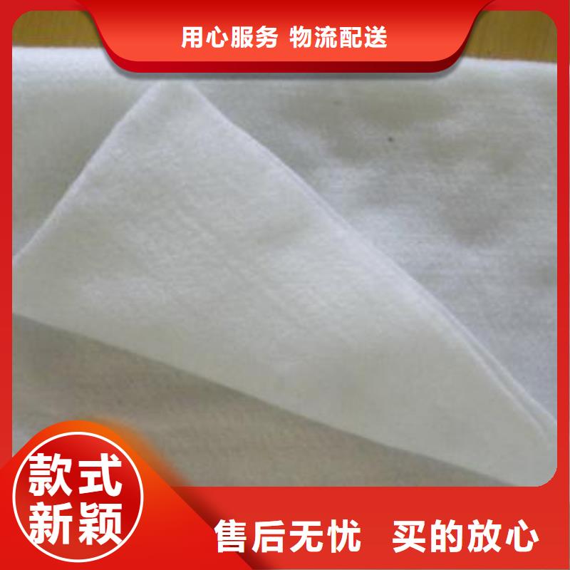 土工布玻纤土工格栅制造生产销售本地生产商