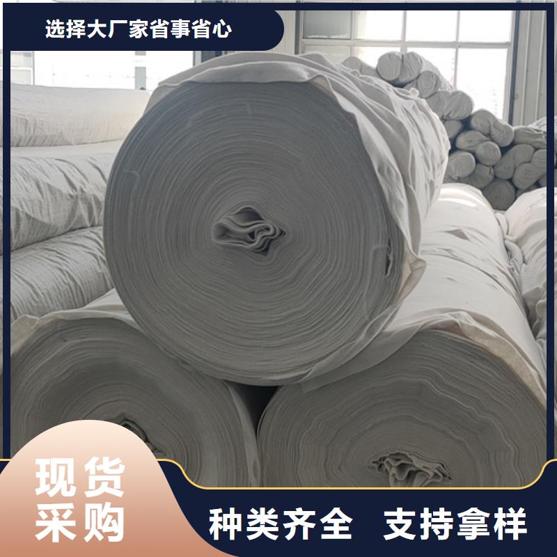【土工布三维土工网垫当地厂家值得信赖】自有厂家