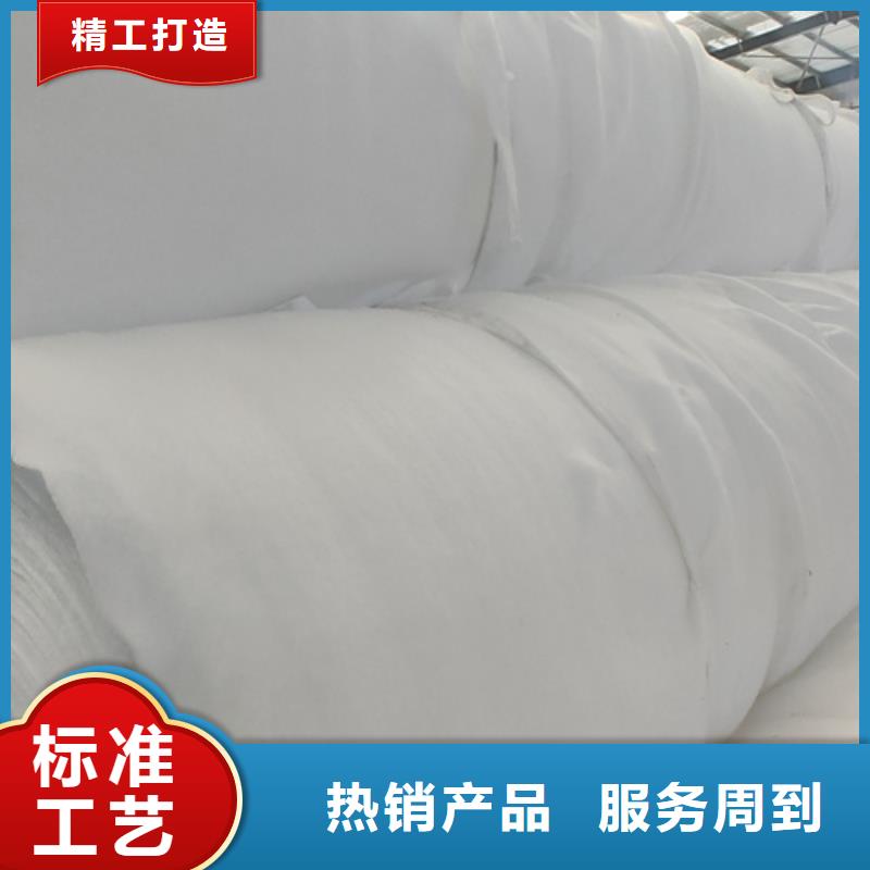 【土工布凸结点钢塑土工格栅现货供应】当地生产商