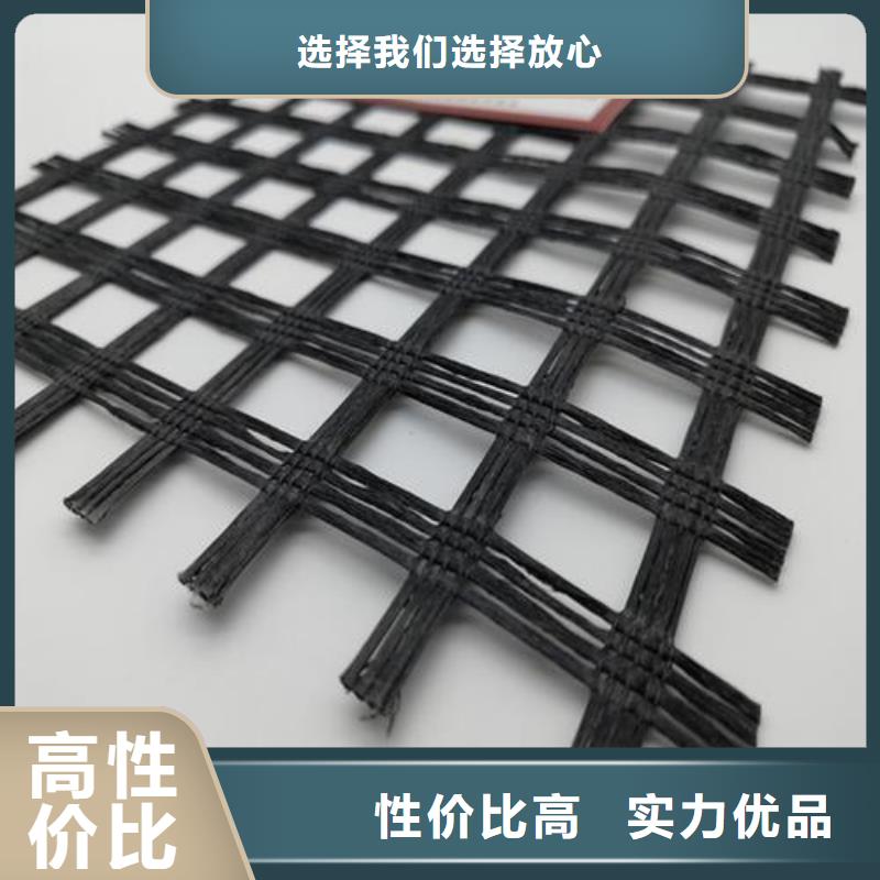 玻纤土工格栅,护坡土工网就近发货当地生产商