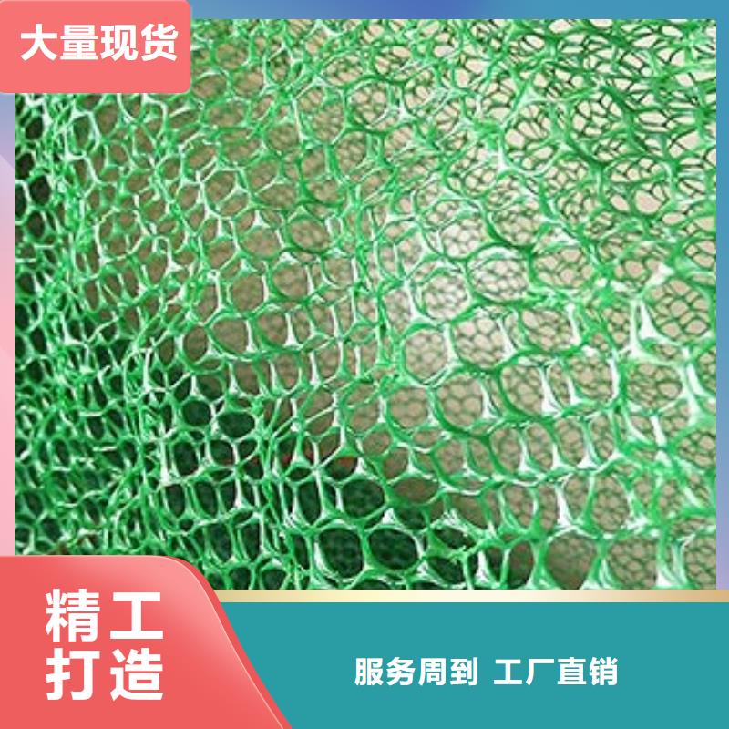 三维植被网土工HDPE膜优选好材铸造好品质本地厂家