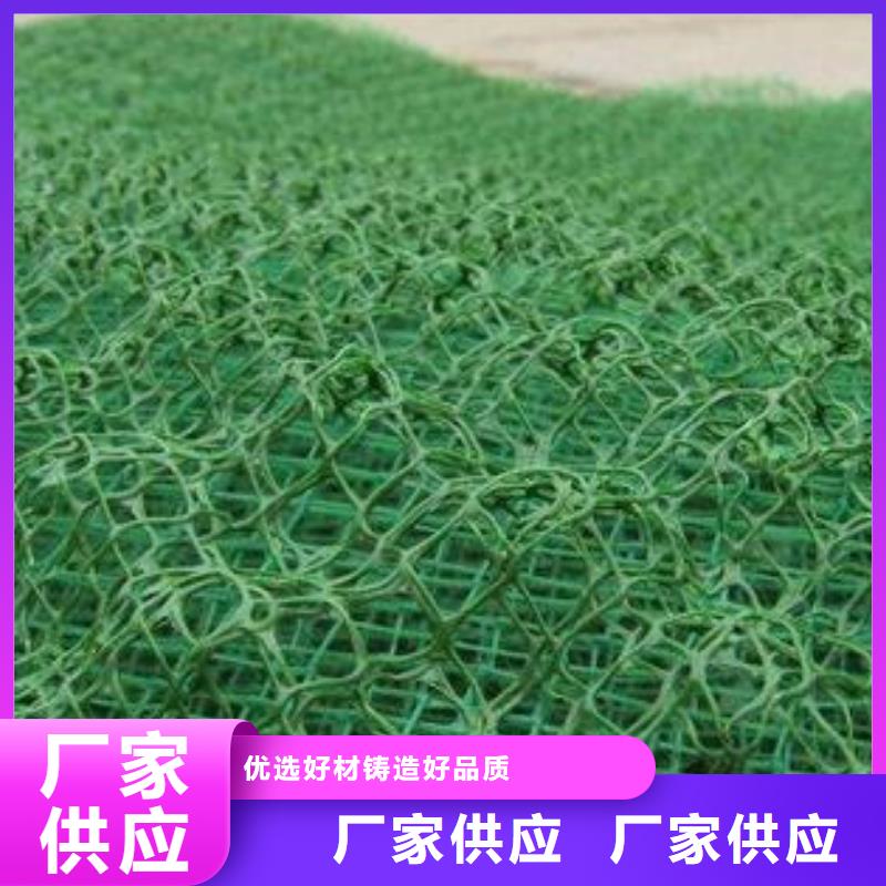 三维植被网土工格室精工打造厂家直销直供