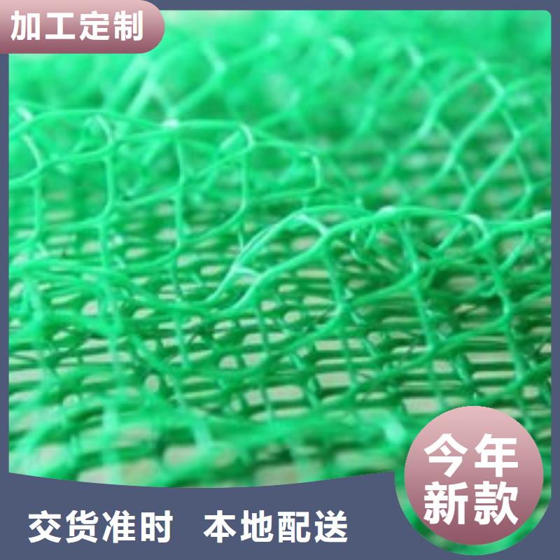 三维植被网_透水土工布让利客户工厂直营