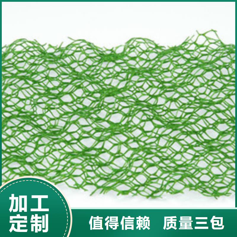 三维植被网【单向塑料格栅】现货充裕同城品牌