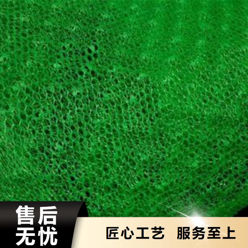 三维植被网,涤纶格栅支持定制精选货源