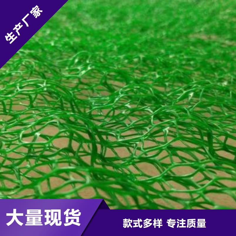 三维植被网-土工布一手货源严格把关质量放心