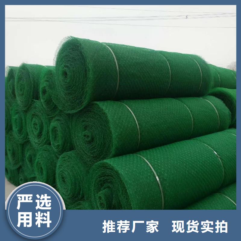 三维植被网复合土工膜源头工厂量大优惠当地货源