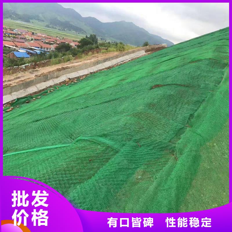 三维植被网三维土工网垫货源足质量好源头把关放心选购