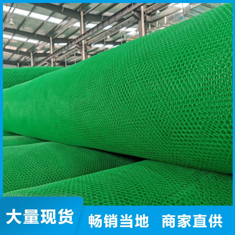 三维植被网三维土工网垫销售的是诚信同城供应商