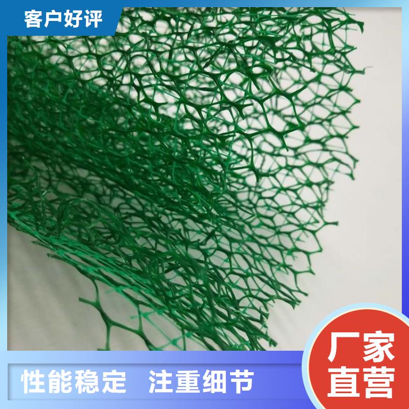 三维植被网玻纤土工格栅厂家当地公司