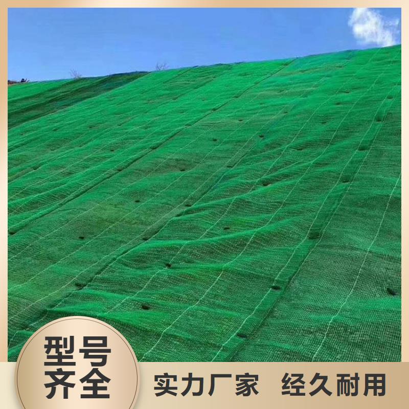 三维植被网-膨润土防水毯专业生产团队用心做好每一件产品