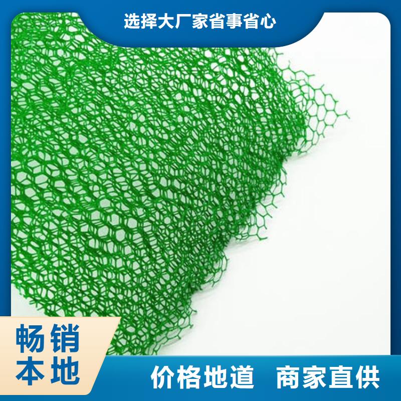 三维植被网_涤纶格栅认准大品牌厂家厂家大量现货