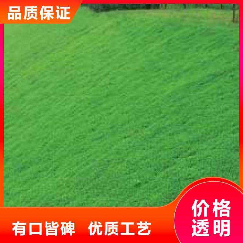 三维植被网凸结点钢塑土工格栅工厂直销精选优质材料