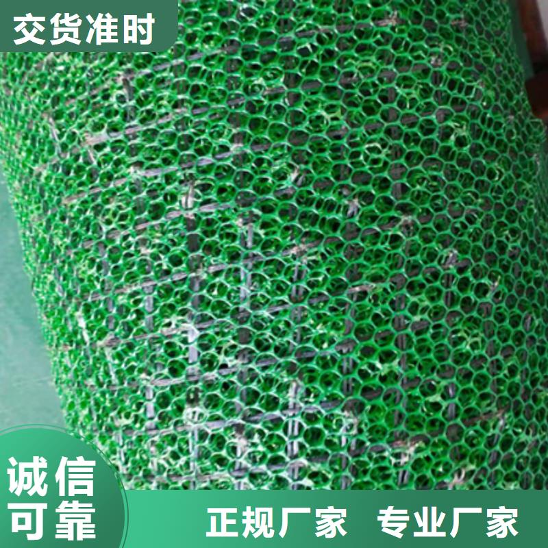 三维植被网,短丝土工布厂家直营专业生产团队