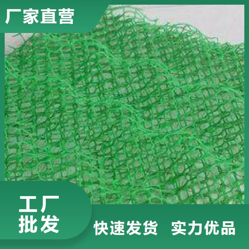 三维植被网_透水土工布有实力有经验专注质量