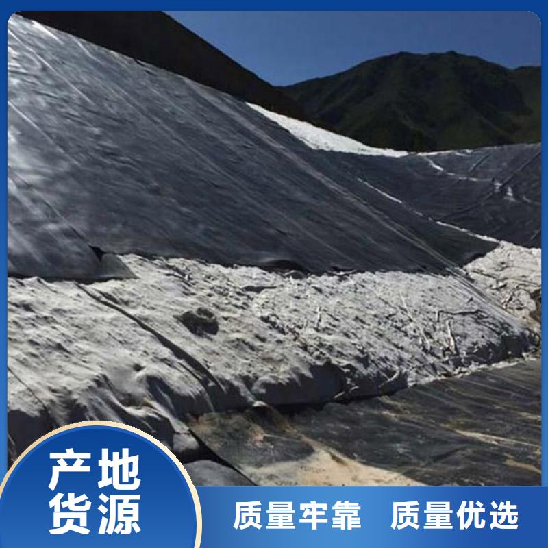 土工膜单向塑料格栅生产型厂家技术完善