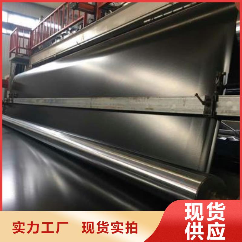 土工膜单向塑料土工格栅原厂制造详细参数