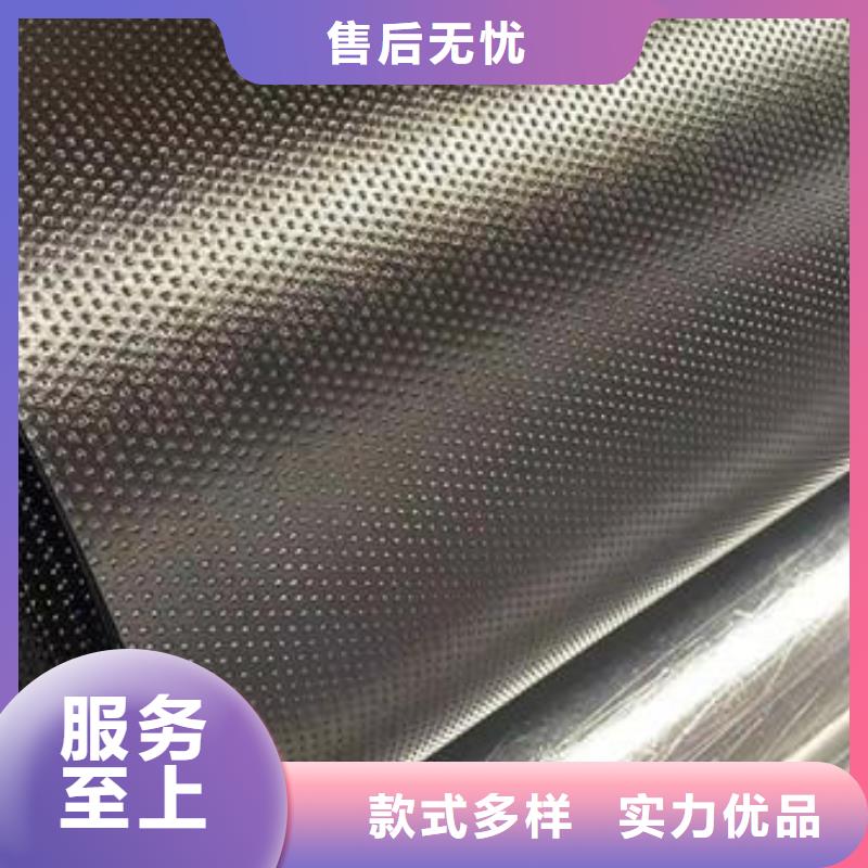 土工膜单向塑料格栅老客户钟爱按需定制