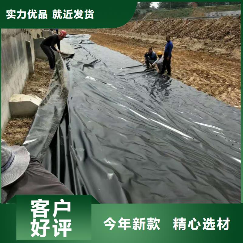 土工膜复合土工膜品质过硬专业厂家
