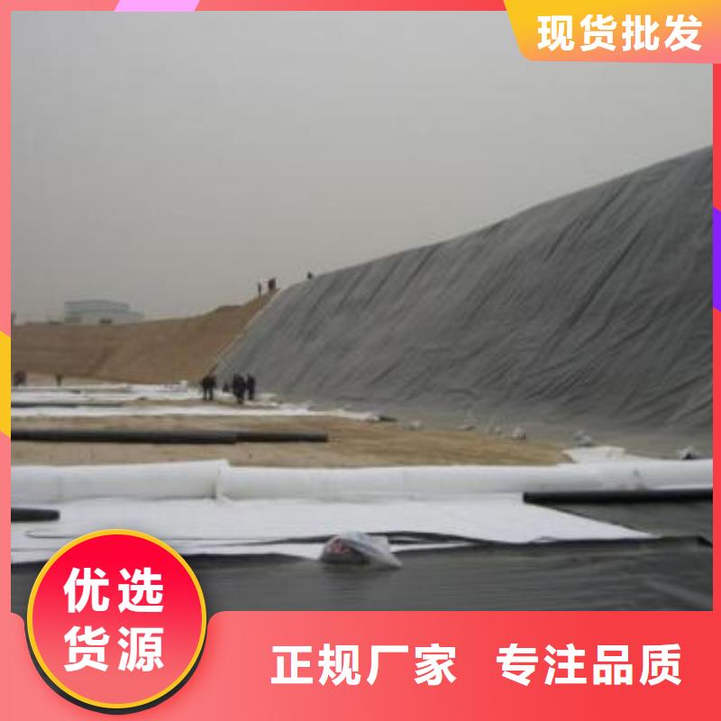 土工膜钢塑土工格栅厂家直销省心省钱好货直销