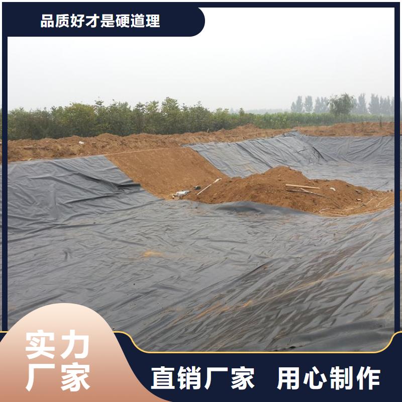 【土工膜三维植被网实力厂家直销】敢与同行比价格