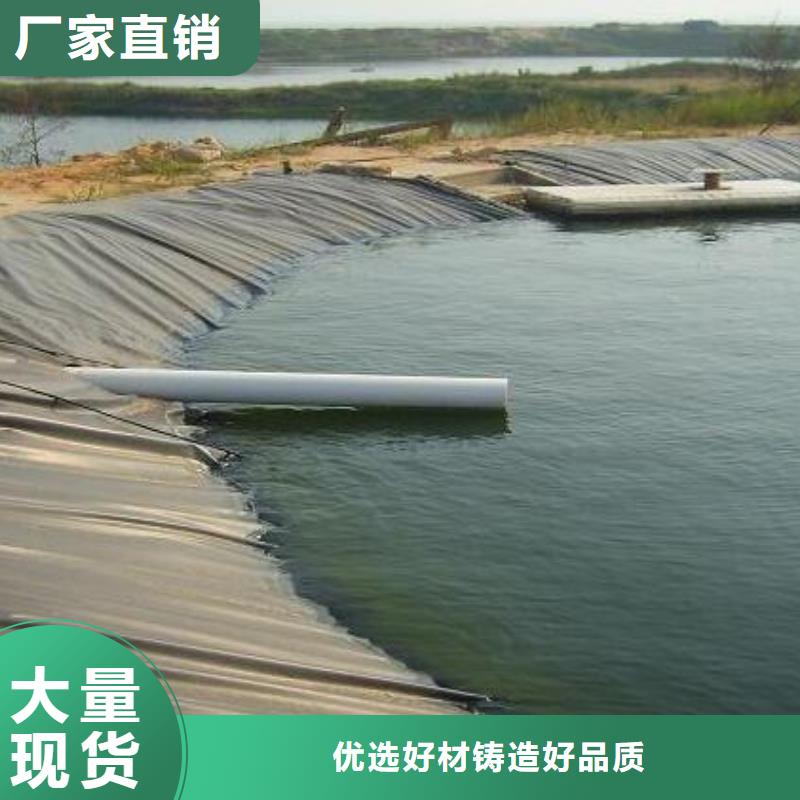 土工膜【涤纶土工格栅】多种优势放心选择当地厂家