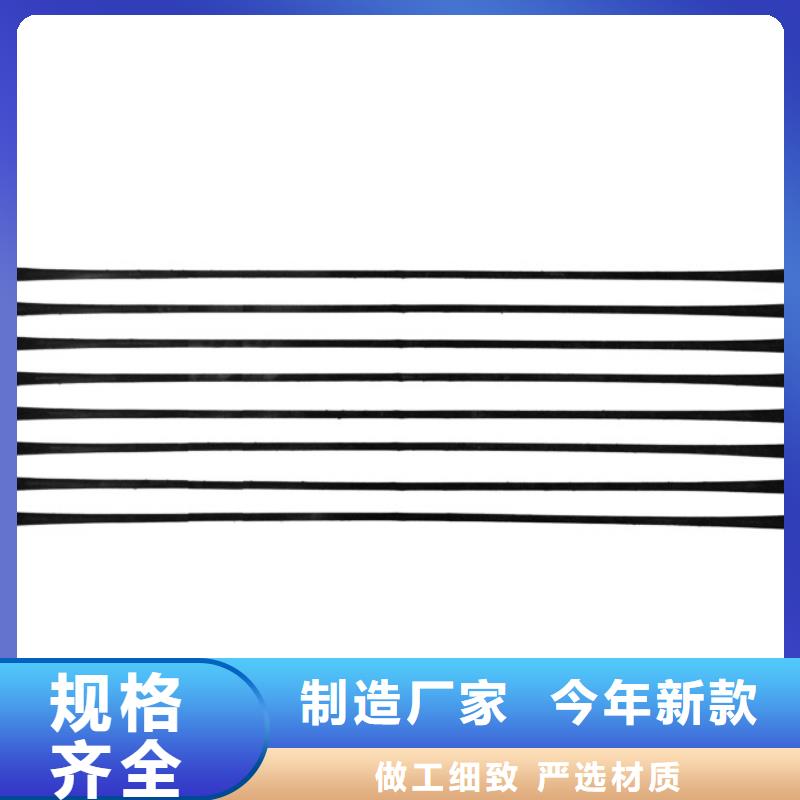 单向拉伸塑料格栅涤纶土工格栅源厂直销本地制造商