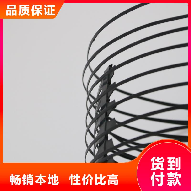 单向拉伸塑料格栅三维复合排水网来电咨询当地生产商
