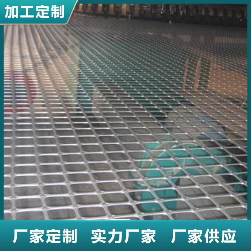 双向塑料土工格栅,三维复合排水网工厂采购专业的生产厂家