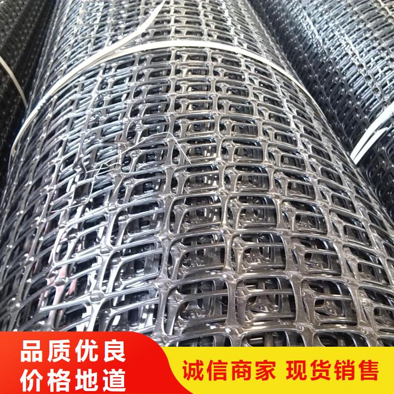 双向塑料土工格栅三维复合排水网高品质诚信厂家当地厂家