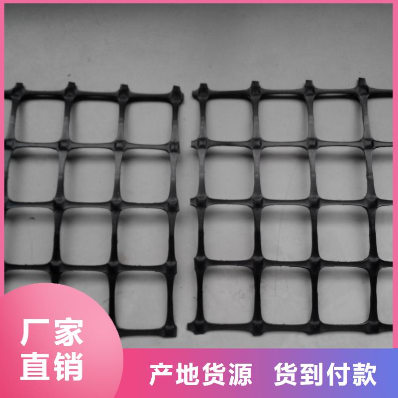 双向塑料土工格栅-水土保护毯低价货源好品质售后无忧