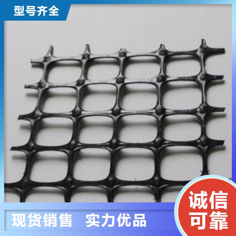 双向塑料土工格栅,土工席垫厂家直营定金锁价
